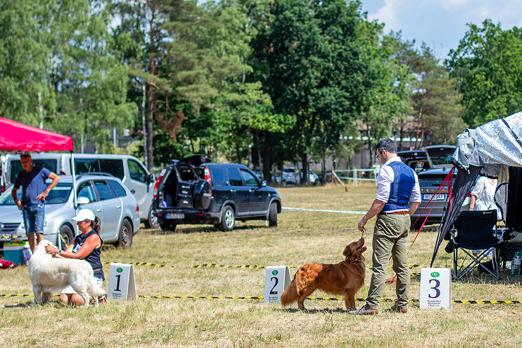 Newton steht vor Stephan, der ihm Schatten spendiert, links von ihnen steht der Gewinner der Golden Retriever