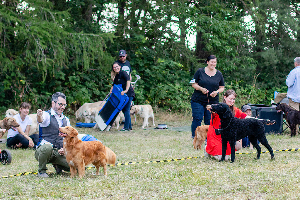 Newton steht neben Best in Show Gewinner des zweiten Tages Curly Coated Retriever Samu im Ring