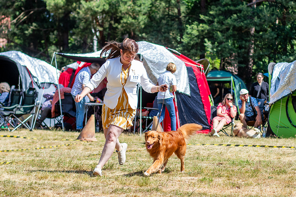 Edison läuft an Ann-Kathrins Seite durch den Ring