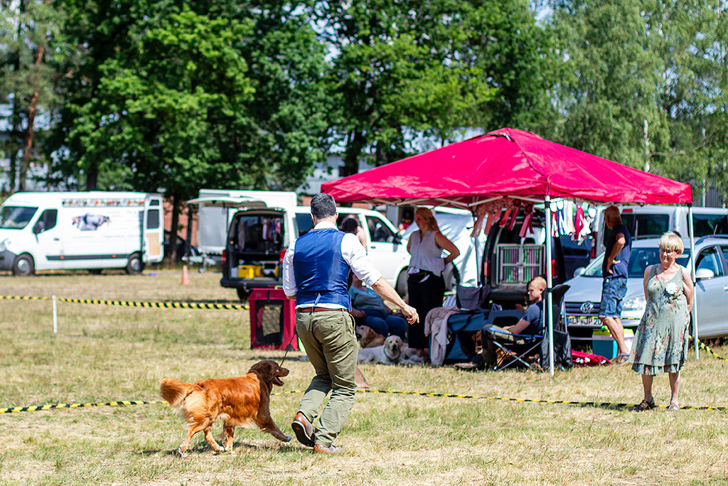 Newton läuft an Stephans Seite freudig auf die Richterin zu
