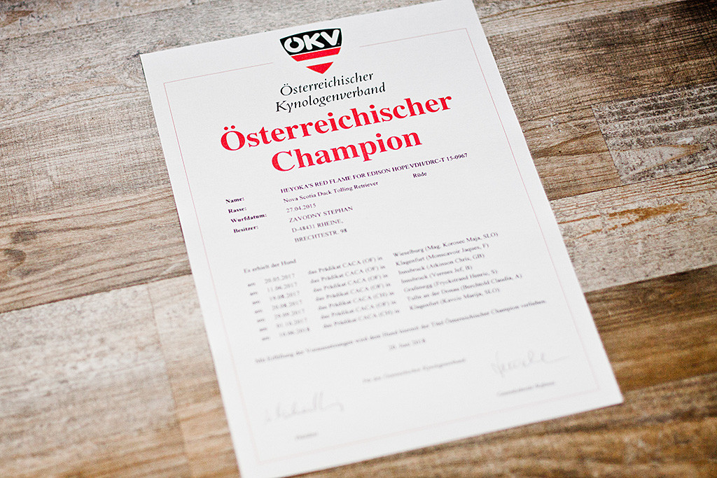 Edisons Urkunde zum Österreichischen Champion