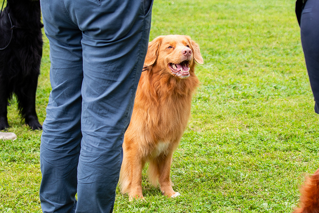Edison lächelt mit weit geöffnetem Maul andere Aussteller ab
