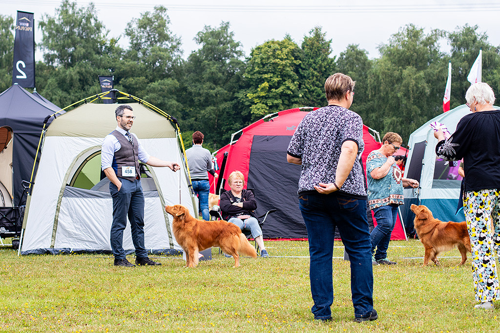 Edison steht neben dem CACIB-Gewinner-Rüden im Ring