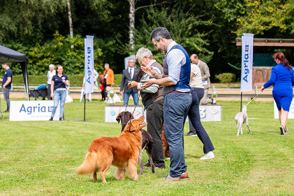 Edison steht neben den anderen Shortlist-Veteranen und lächelt dabei Stephan an
