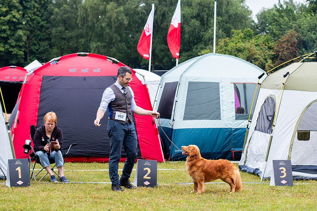 Newton steht in perfekter Pose im Ring und lächelt hoch zu Stephan