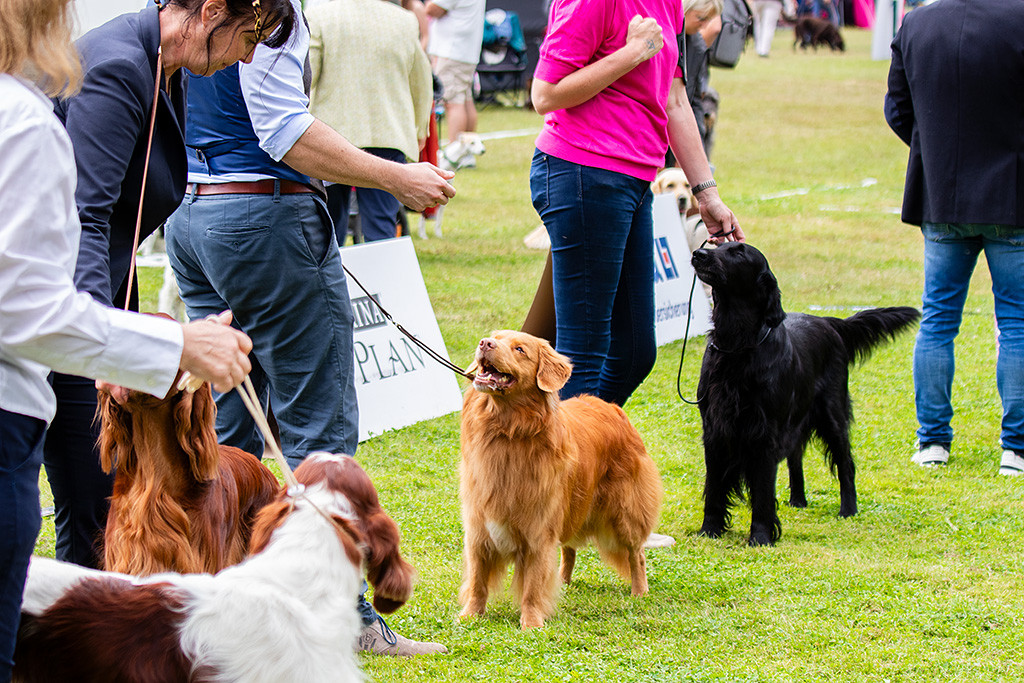 Edison steht aufgereiht neben den anderen Best Veteran Gewinnern im Ehrenring