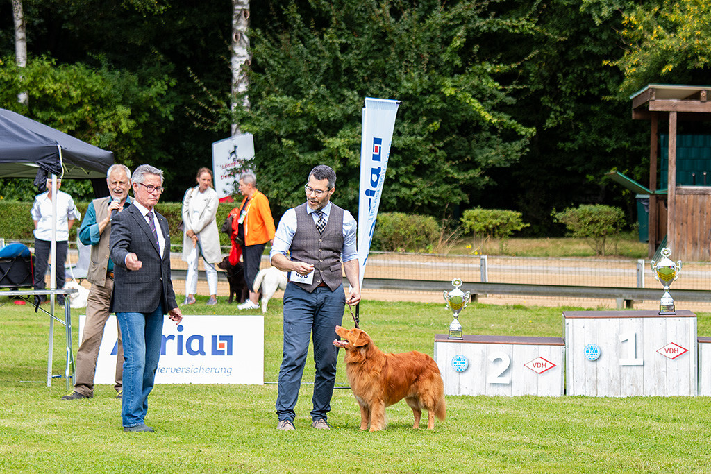 Edison steht im Ehrenring neben dem Richter und schaut zu ihm hoch