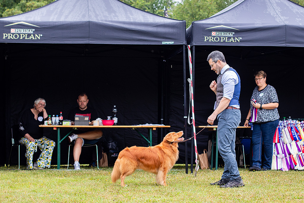 Edison steht lächelnd vor dem Richtertisch, im Hintergrund diktiert die Richterin den Richterbericht