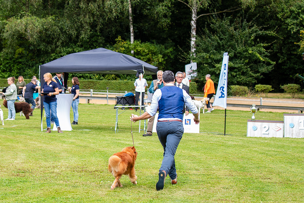 Edison läuft an Stephans Seite auf der Geraden auf den Richter zu
