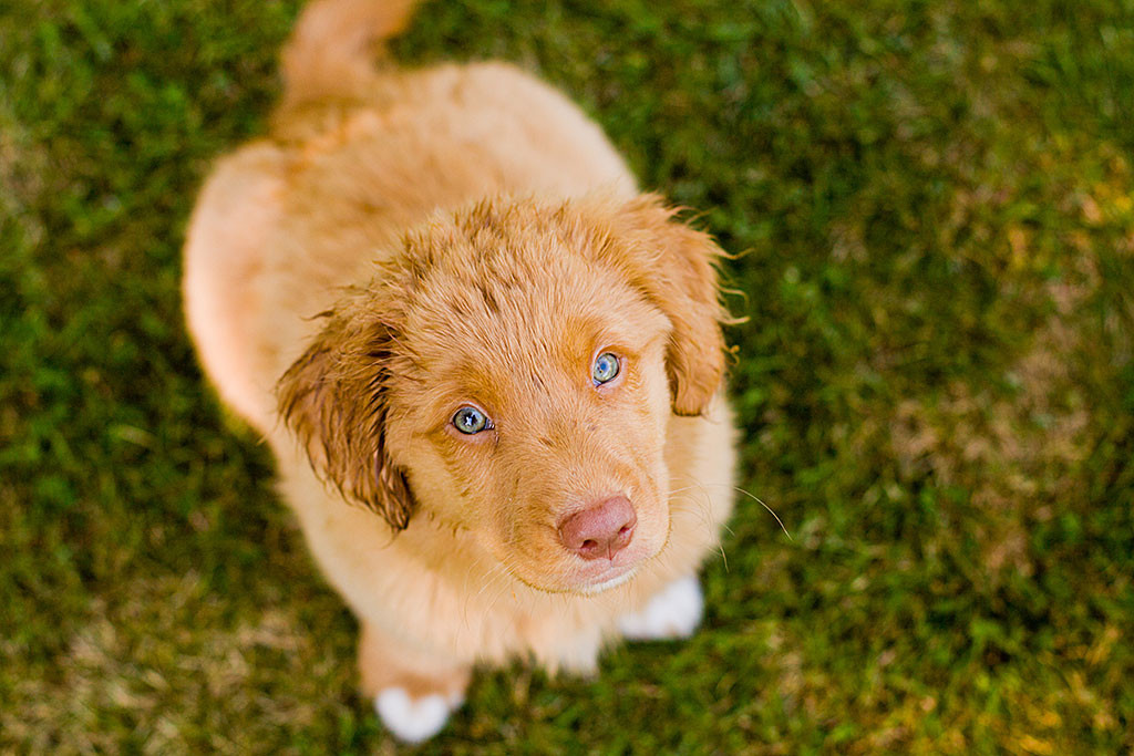 Edison schaut von unten direkt in die Kamera