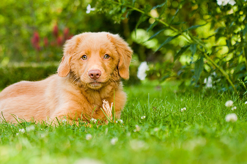 Edison schaut verträumt in die Kamera