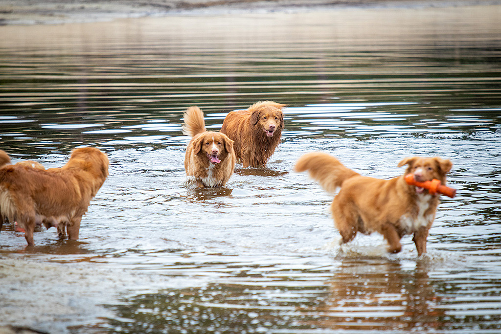 Edison steht klitschnass mit Kellys Mädels im Wasser und hat Spaß