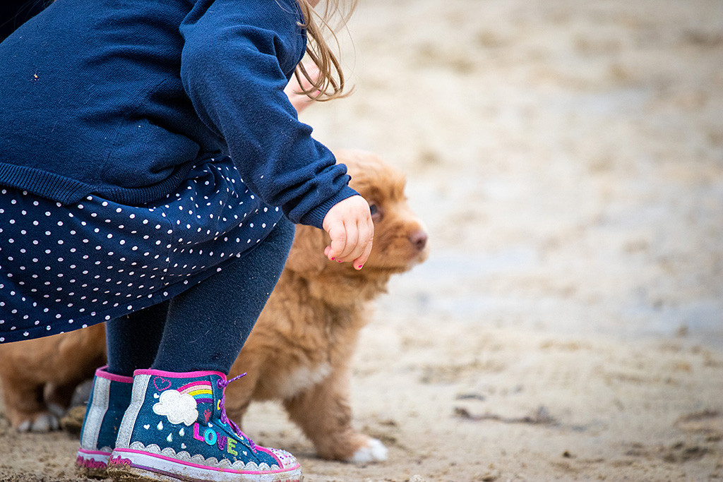 Niene kniet im Vordergrund, im Hintergrund ist Mister Grau zu sehen
