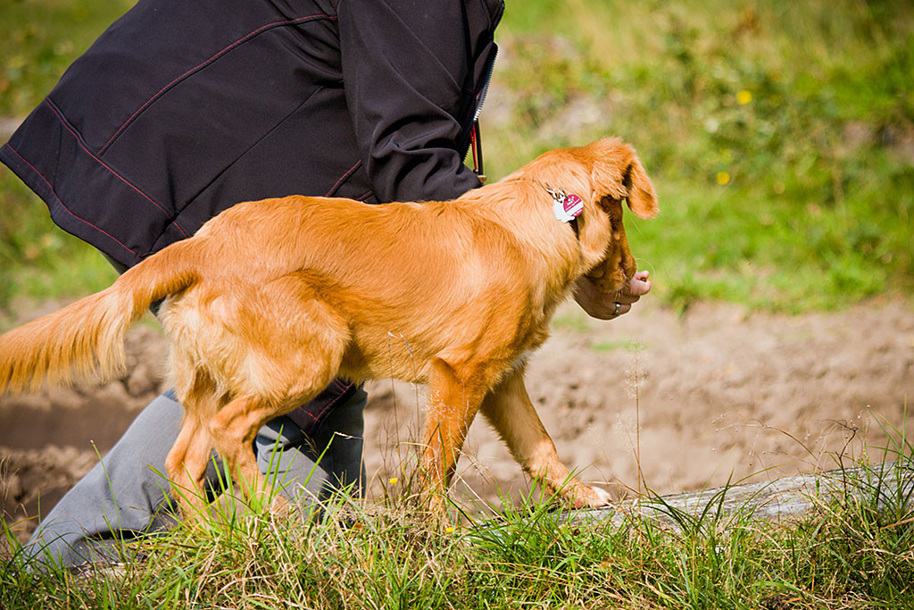 Edison läuft über einen Baumstamm während Julia ihn lockt