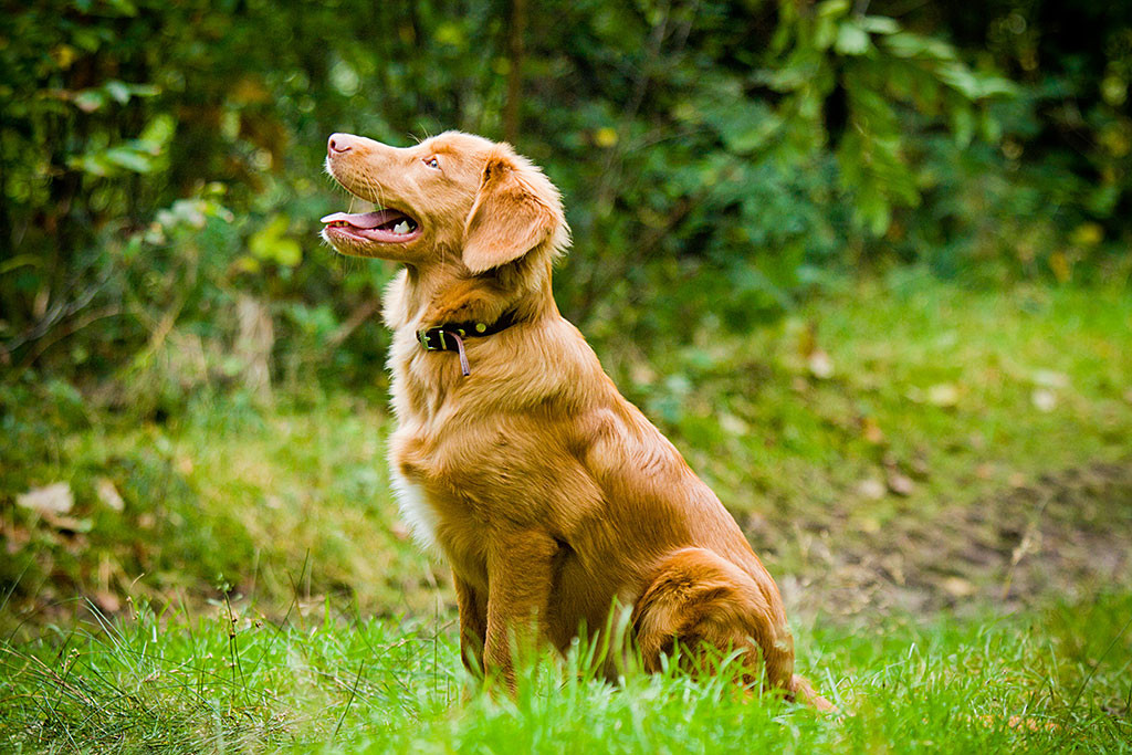 Edison von der Seite während er Julia anlächelt