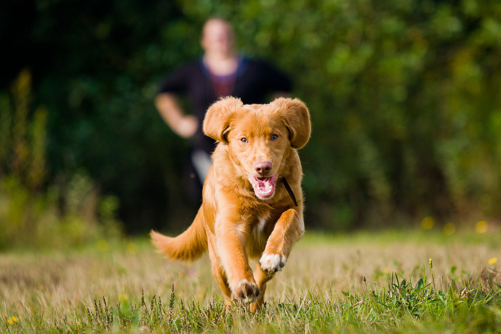 Edison läuft frontal auf die Kamera zu, im Hintergrund ist Julia zu sehen