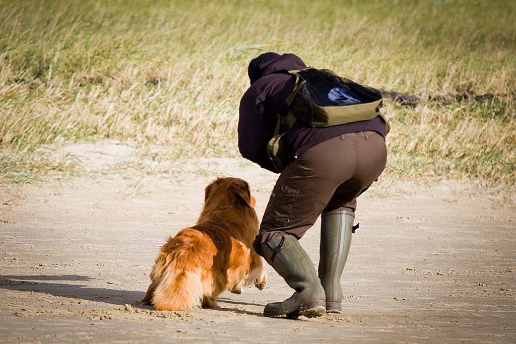 Edison legt einen Kickstart hin als er von Stephan geschickt wird
