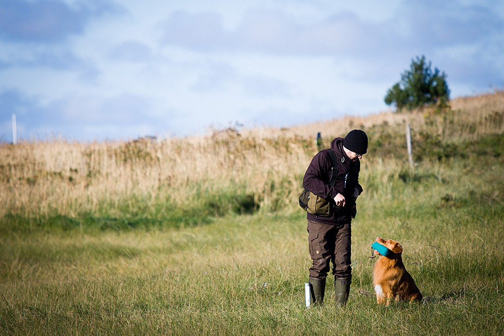 Edison sitzt mit Dummy im Fang neben Stephan und schaut zu ihm hoch