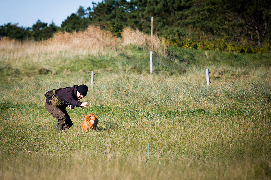 Edison wird von Stephan geschickt und schießt gerade aus dem Startlöchern los