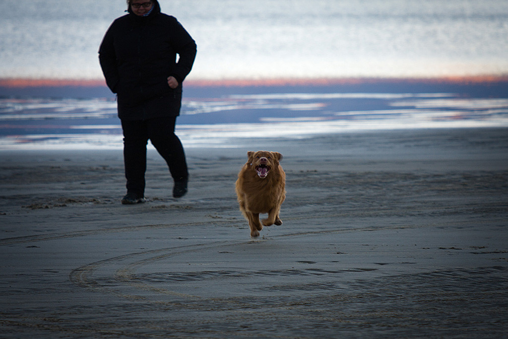 Edison rennt im Affenzahn am Strand von Rømø auf mich zu, im Hintergrund ist Julia noch zu sehen