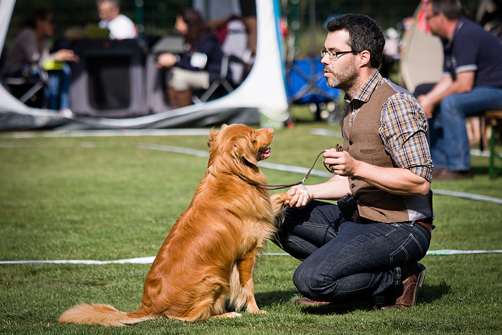 Edison sitzt vor Stephan, der eine Pfote in seiner Hand hält
