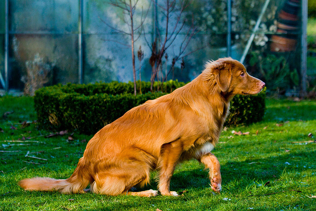 Edison von der Seite aus dem Sitz aufstehend