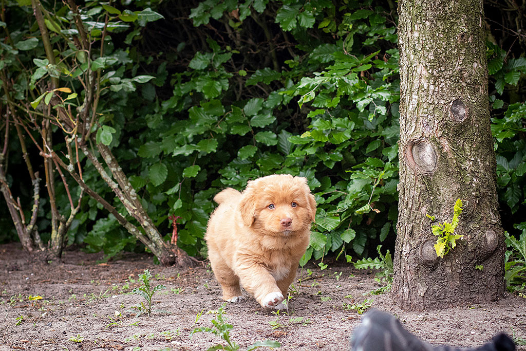 Mister Grau läuft ernst schauend auf die Kamera zu