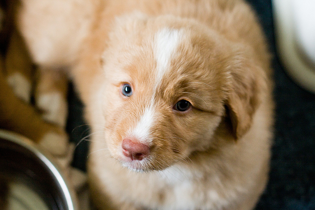 Miss Rot schaut von unten hoch in die Kamera