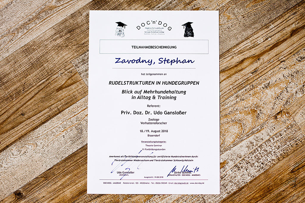 Stephans Teilnahmebescheinigung zum Seminar »Rudelstrukturen in Hundegruppen«