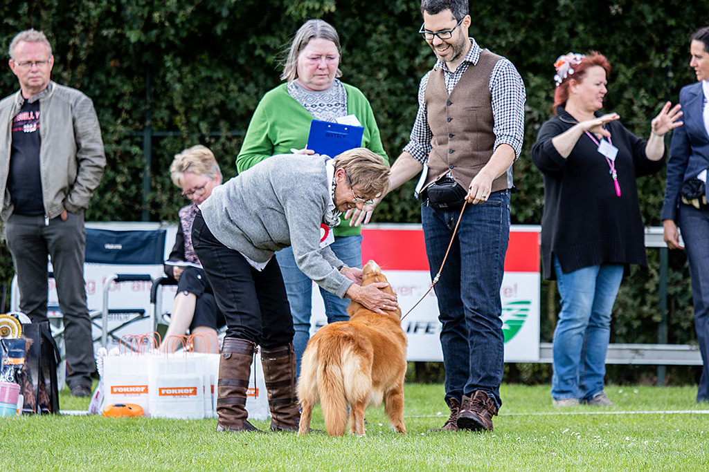 Gwenny lässt sich von Richterin Winter den Kopf streicheln, Stephan lächelt beim Zuschauen