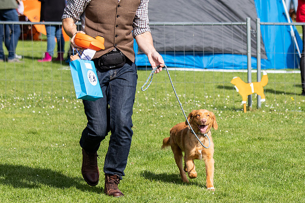 Newton läuft fett grinsend mit Stephan aus dem Ring
