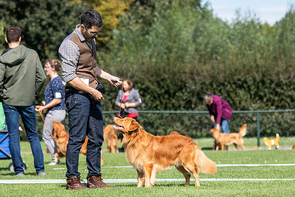 Edison steht vor Stephan und lächelt zu ihm hoch
