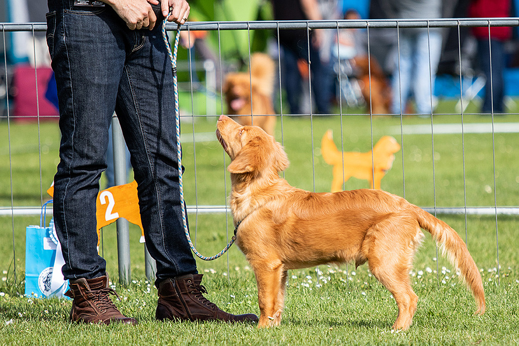 Newton steht vor Stephan und schaut zu ihm hoch