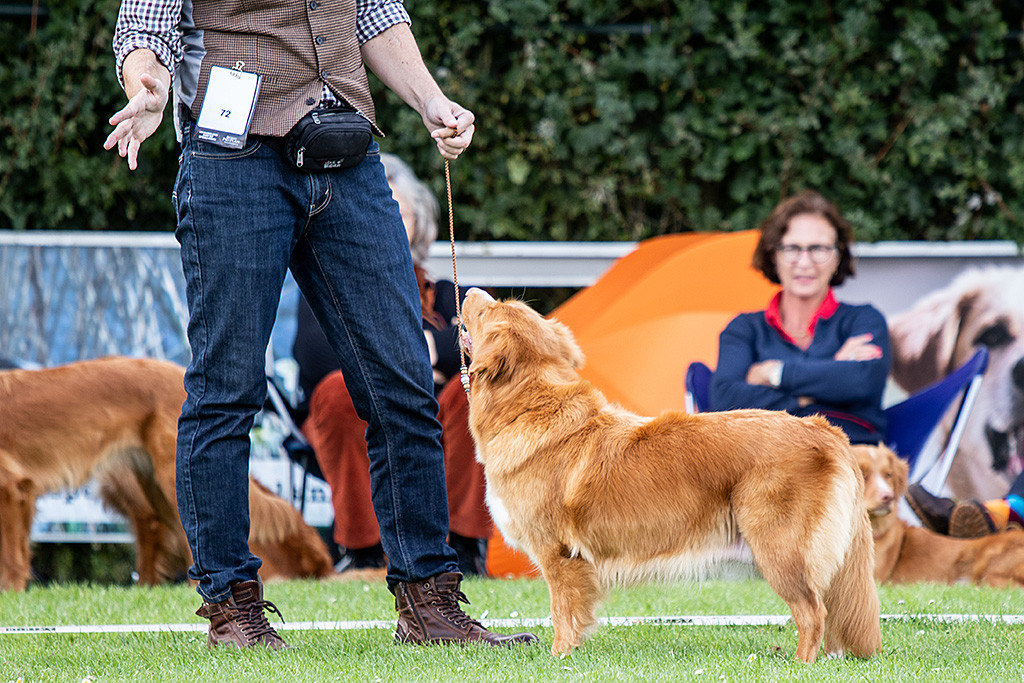 Gwenny steht vor Stephan und lächelt zu ihm hoch