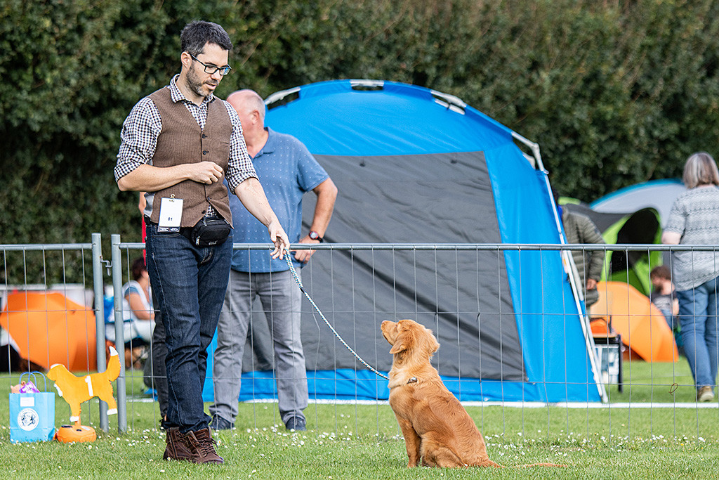 Newton sitzt vor Stephan und schaut zu ihm hoch