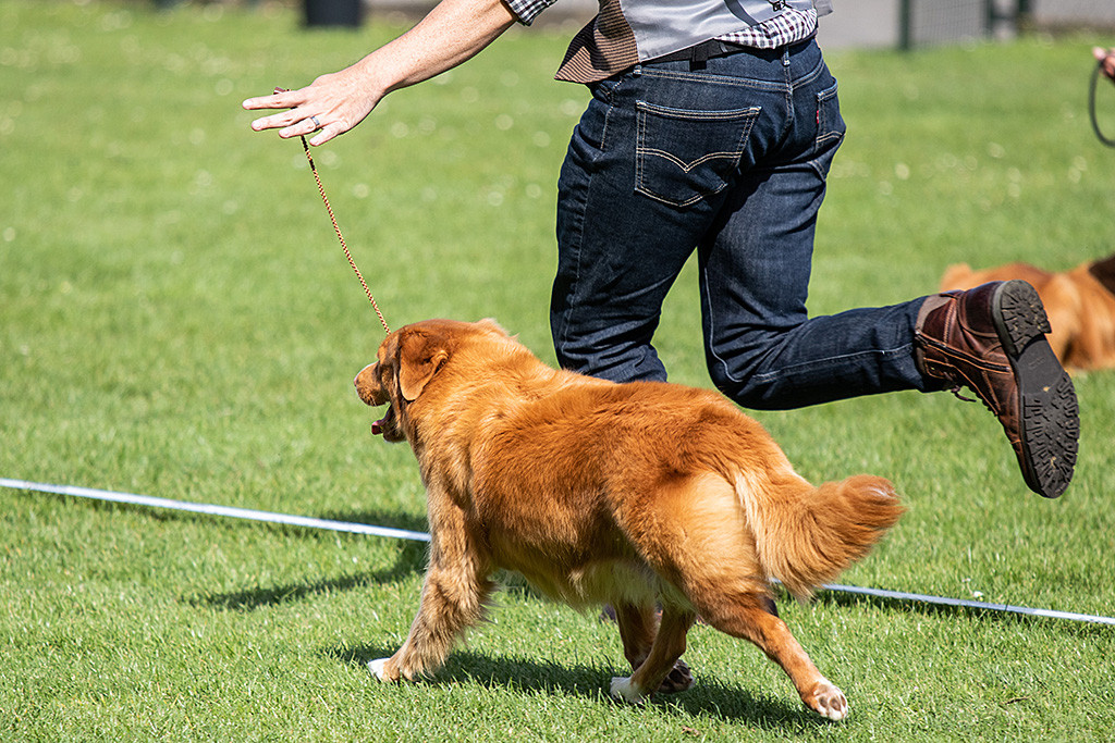 Gwennys Gangwerk in Nahaufnahme während sie neben Stephan läuft