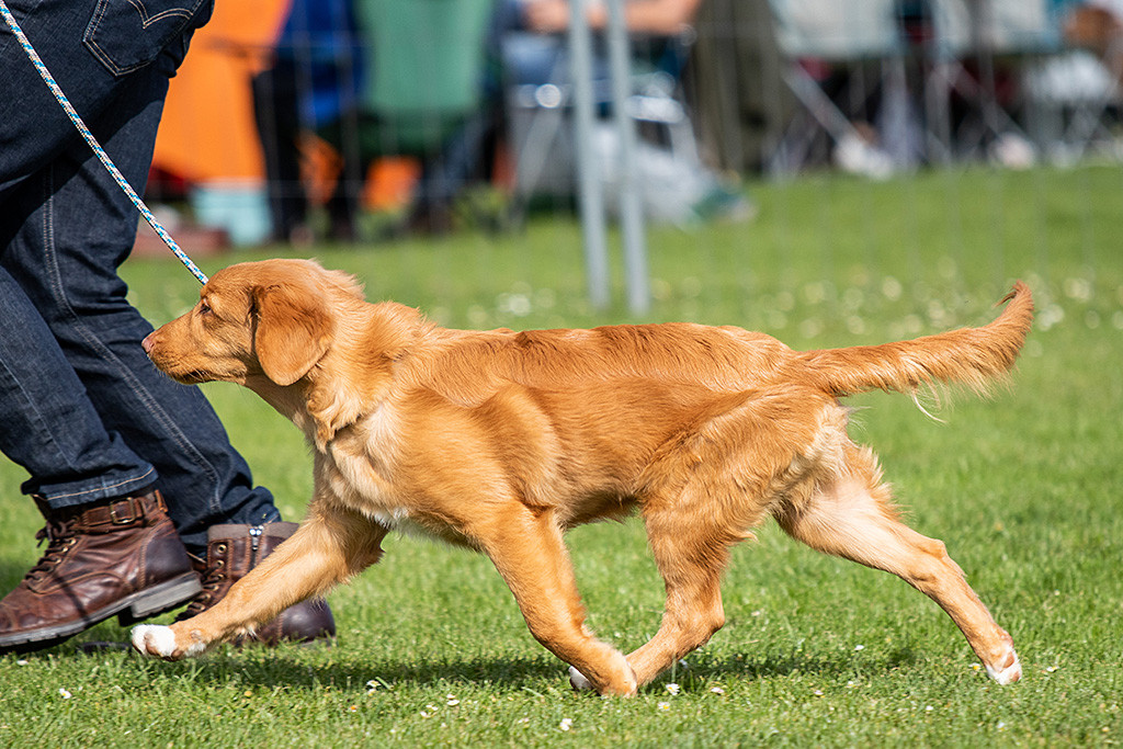 Newton präsentiert sein vorzügliches Gangwerk
