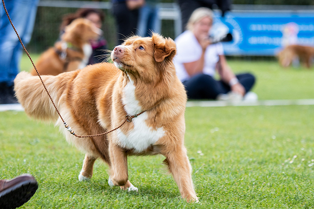 Gwenny in Nahaufnahme wärend sie gerade wendet