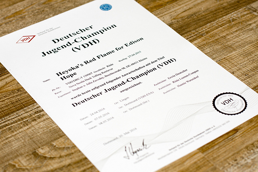 Edison ist nun Deutscher Jugend-Champion VDH