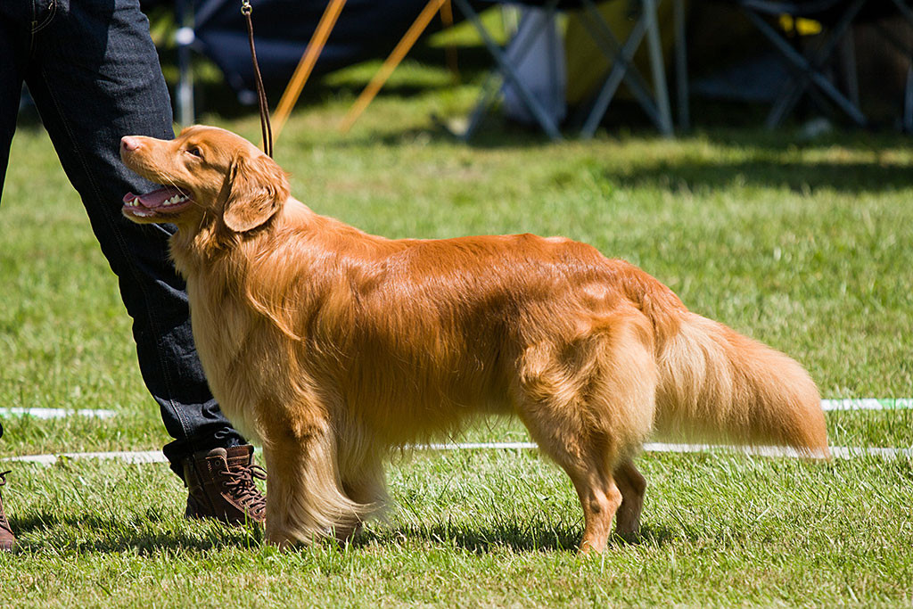Edison lächelt an Stephans Seite vermutlich zur Richterin hoch