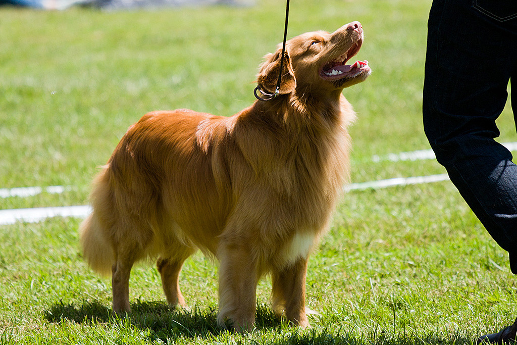 Edison steht vor Stephan und lächelt zu ihm hoch