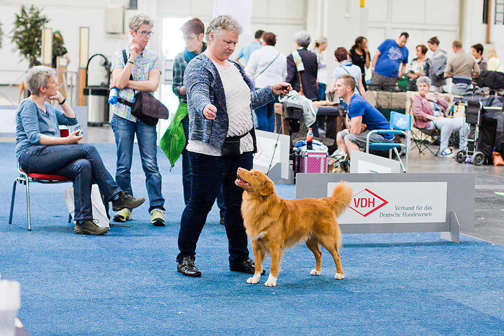 Gewinner Seawild’s Born to Perform wird Best of Breed