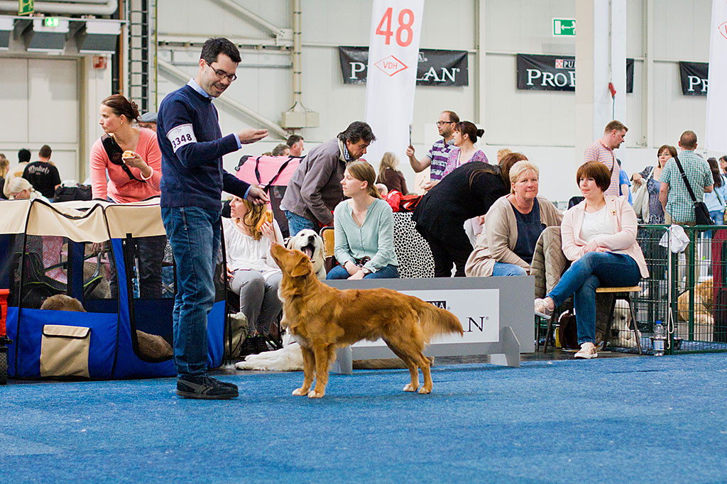 Edison steht vor Stephan wie ’ne Eins im Ring