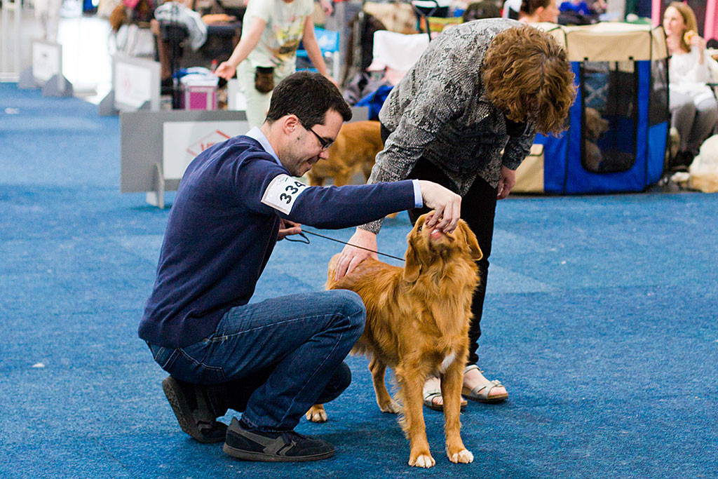 Edison wird von der Richterin abgetastet