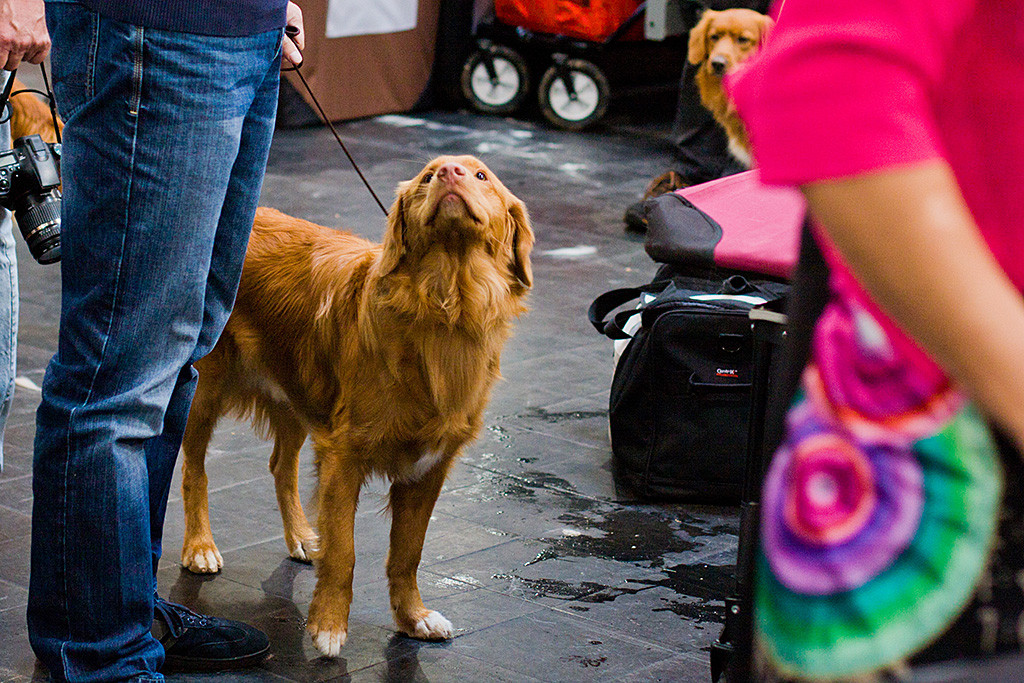Edison schaut hoch zu Stephan