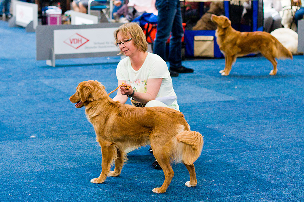 »Forestrunners Bobby« wird vorgestellt, im Hintergrund ist Edison zu sehen