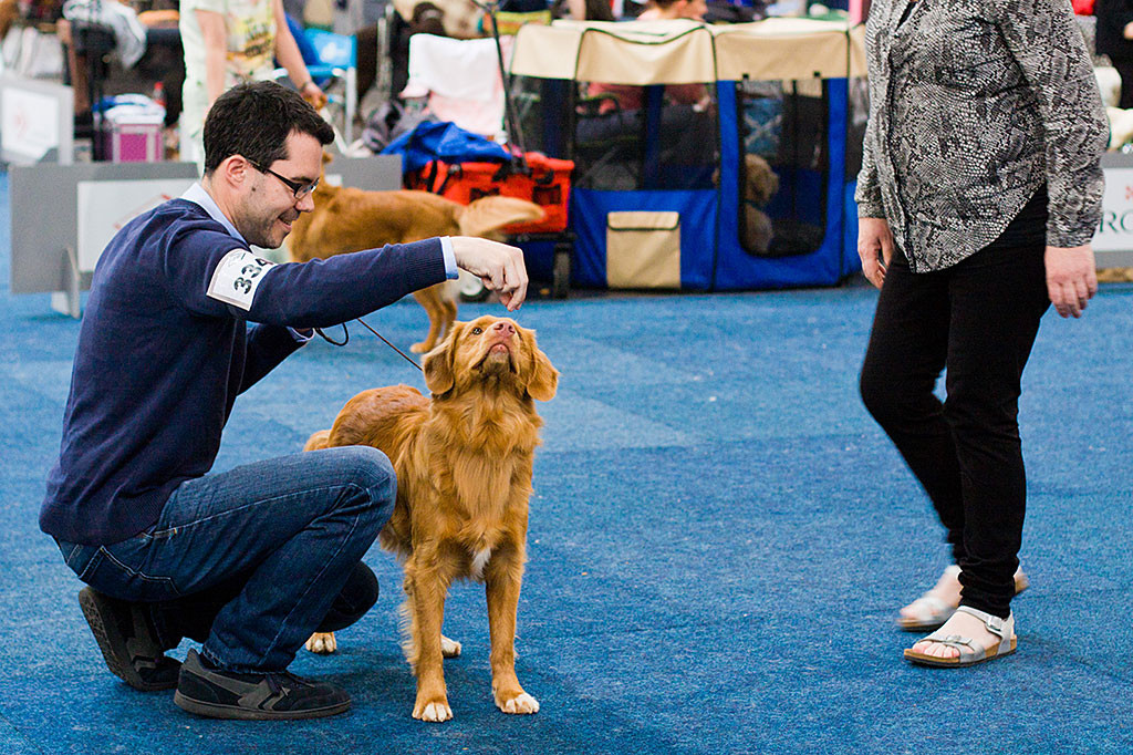 Edison wird von Stephan der Richterin vorgestellt