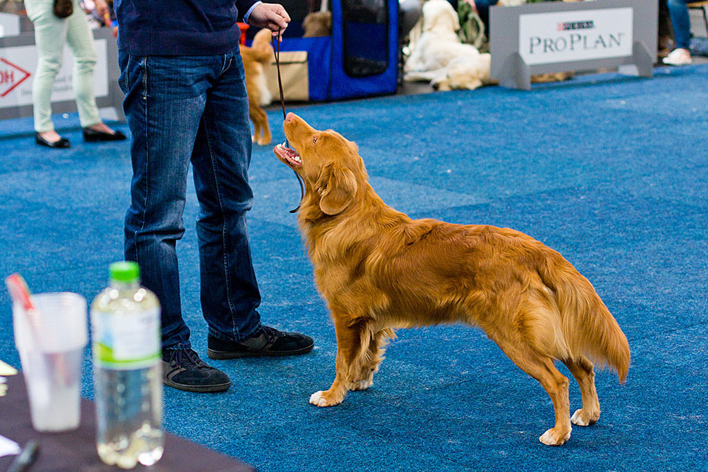 Edison steht lächelnd mit Stephan vor dem Richtertisch