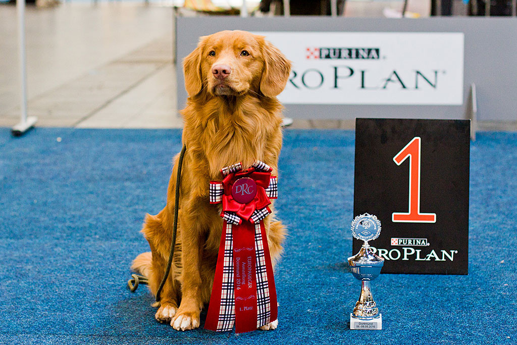 Edison mit angehefteter Rosette und Pokal beim Siegerfoto