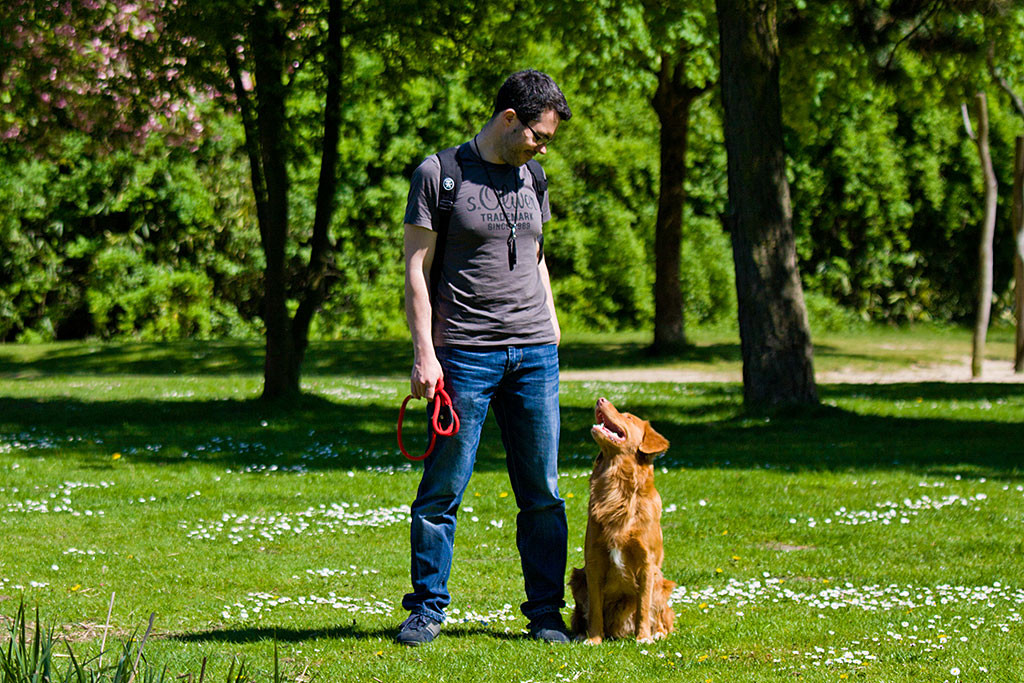 Edison und Stephan, die sich auf einer Wiese befinden, schauen sich gegenseitig an